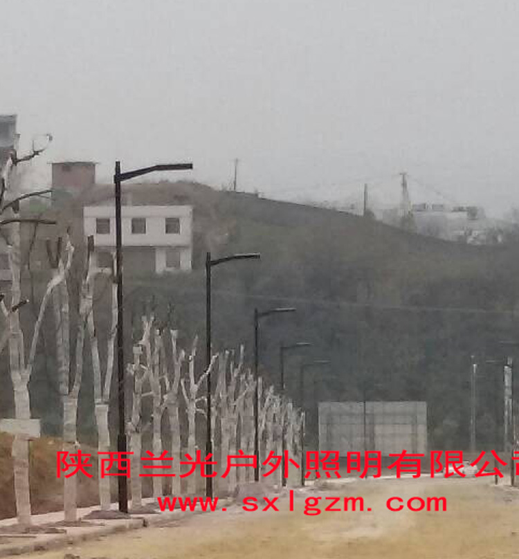 陜西市電道路路燈 陜西市電道路路燈