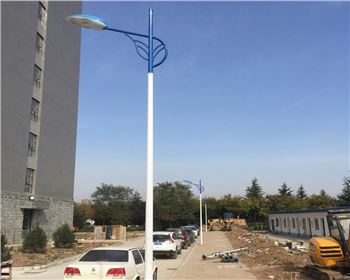 市電路燈-省西安市西北大學(xué)長安校區(qū)路燈工程